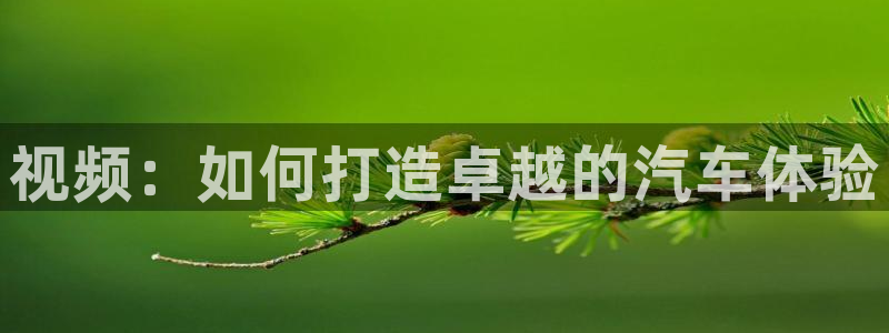 糖心最新版本：视频：如何打造卓越的汽车体验