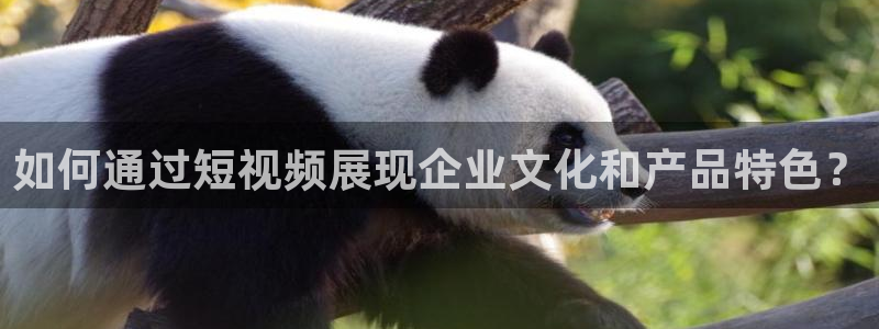 糖心blong：如何通过短视频展现企业文化和产品特色？