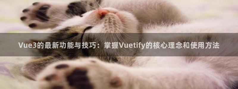糖心总部：Vue3的最新功能与技巧：掌握Vuetify的核心