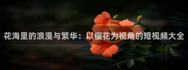 糖心blong：花海里的浪漫与繁华：以樱花为视角的短视频大全
