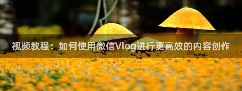 糖心v logo：视频教程：如何使用微信Vlog进行更高效的