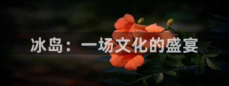 糖心velo：冰岛：一场文化的盛宴